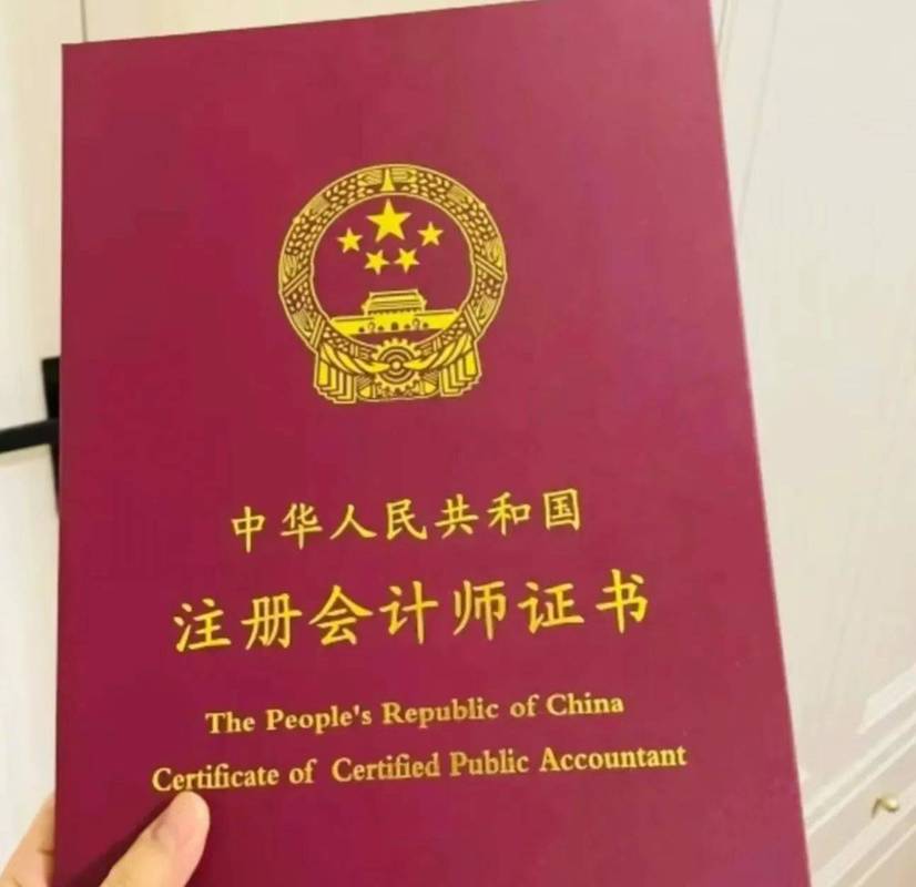财务尽职调查会被AI替代吗？——从量化工具到智能协作的边界分析